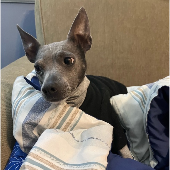 Meet your Posher, Sarah - Picture 9 of 17